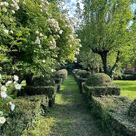 Le Dimore De Il Borgo Del Balsamico