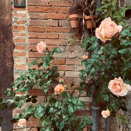 Le Dimore De Il Borgo Del Balsamico Holiday home *